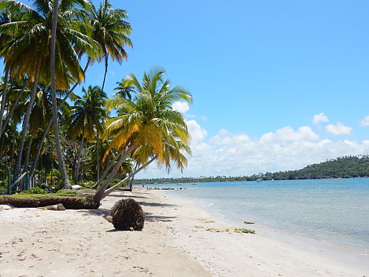 dicas viagem praia dos carneiros dicas viagem praia dos carneiros