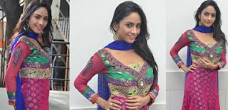 Pooja Sree At Cottage Craft Mela 2016 Launch Photos