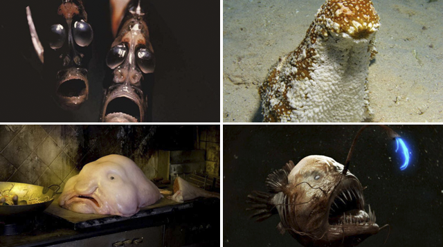 Espeluznante monstruos marinos profundidades océano