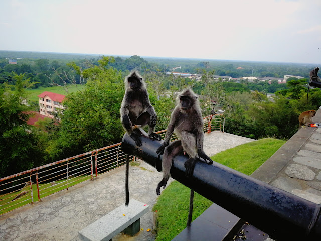 'Back To Nature' di De Palma Eco Resort Kuala Selangor