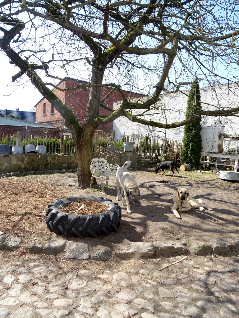 princessgreeneye umgezogen und eingezogen&hellip;&hellip;&hellip;&hellip;.