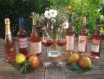 Badischer Winzerkeller Breisach 5 Rosé und 1 Winzersekt Pinot Rosé