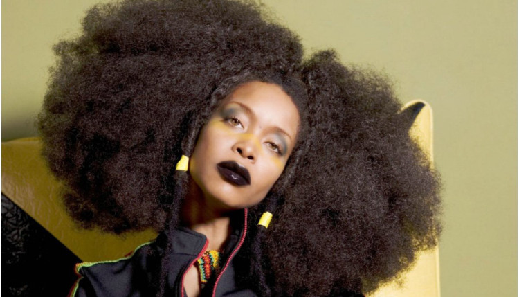 Erykah Badu Is Starring In A New Skate Film Executive Produced By