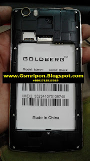 GOLDBERG ION NL1 FLASH FILE  LCD CAMERA FIX OFFICIAL FIRMWARE 1000% TESTED