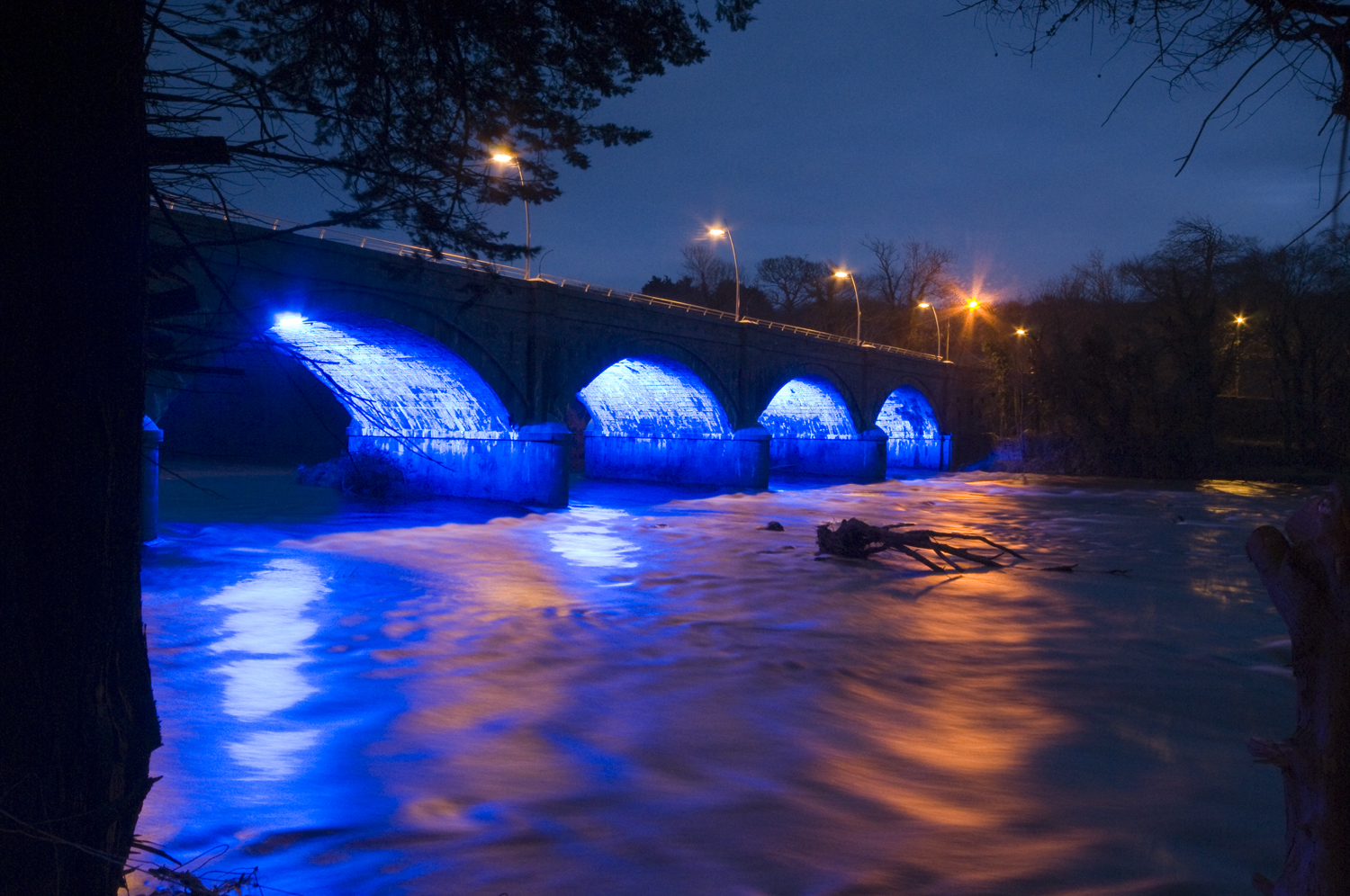 Listowel Connection My Silver River Feale