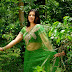 Aarthi Agarwal Hot in Green Saree Photos