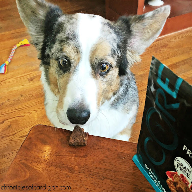 Wellness Senior Cat Food Wellness Senior Cat Food