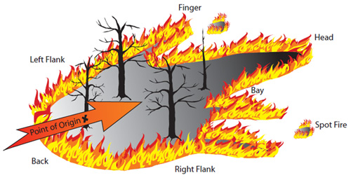 Functional Firefighter: Brush/ Grass Fires