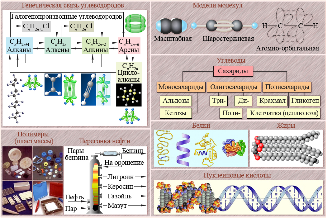 2 3 диметилбутан модель молекул. модель углеводорода. модель углеводорода. формула молекулы циклоалканов. модель углеводорода.