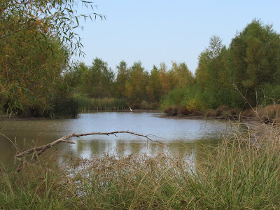Ed's Pond Llano Seco Unit