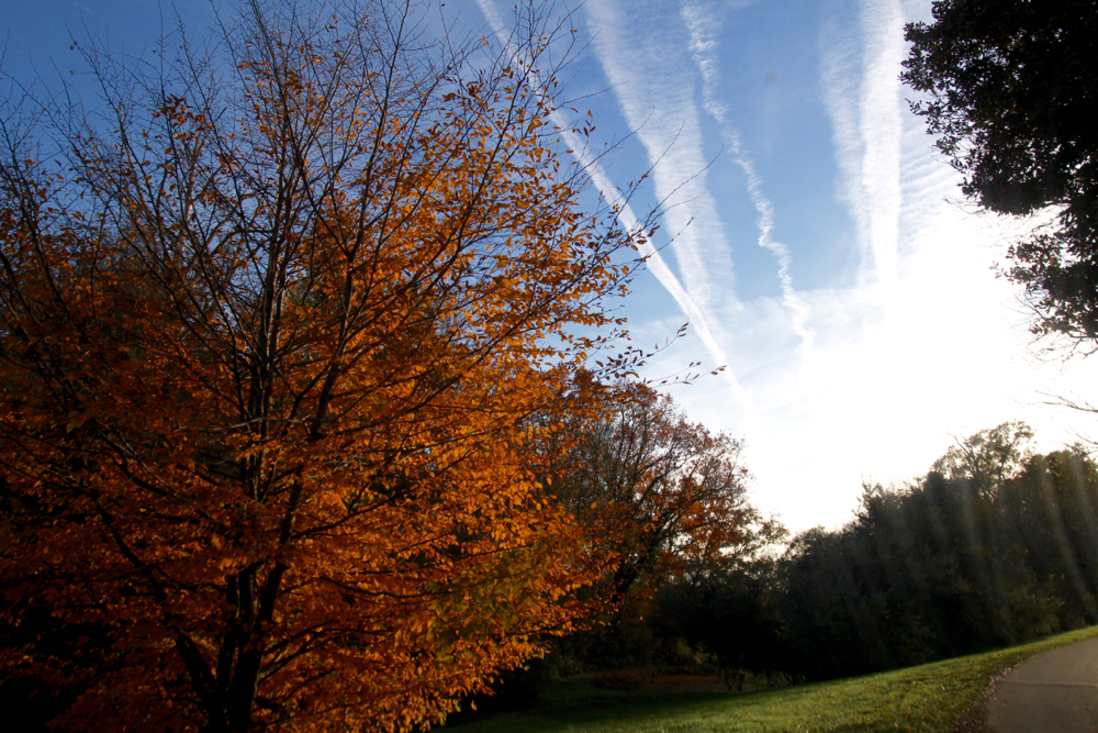 BLOG-MODE-HOMME_Voyage-weekend-france-amoureux-chateau-luxe-5-etoiles-domaines-des-etangs-dries-van-noten-bluecar-campagne-confidentiel - 5