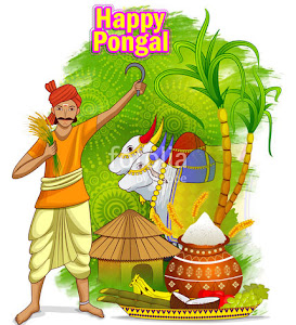 Happy Pongal Cards And Photos