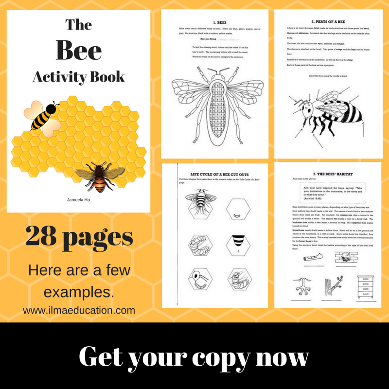 ILMA Education Free Printable Bee Activities