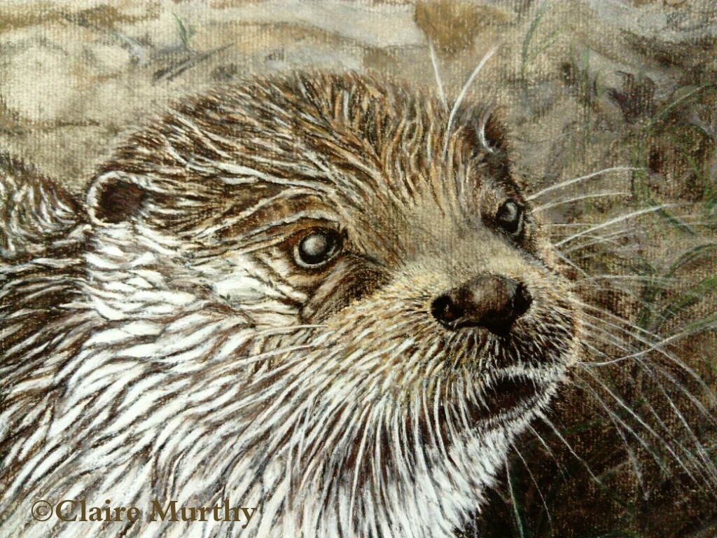 British Wildlife Pastel Art