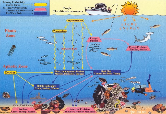 Learn_for_Knowledge: Biome and species