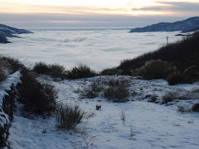 Valle del Jerte