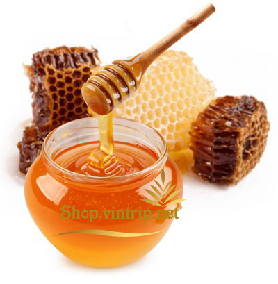 Nhuận phế hóa đàm, bổ thận nạp khí, chỉ khái bình suyễn. Nhuận phế hóa đàm, bổ thận nạp khí, chỉ khái bình suyễn.
