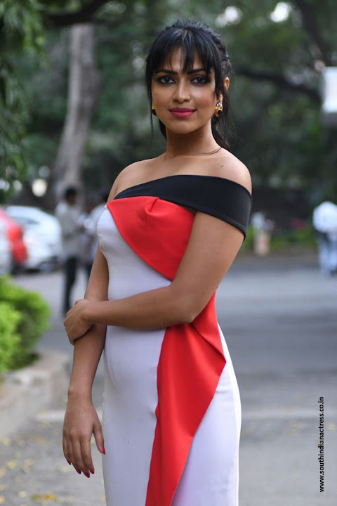 Amala Paul at Dongodochadu Press Meet
