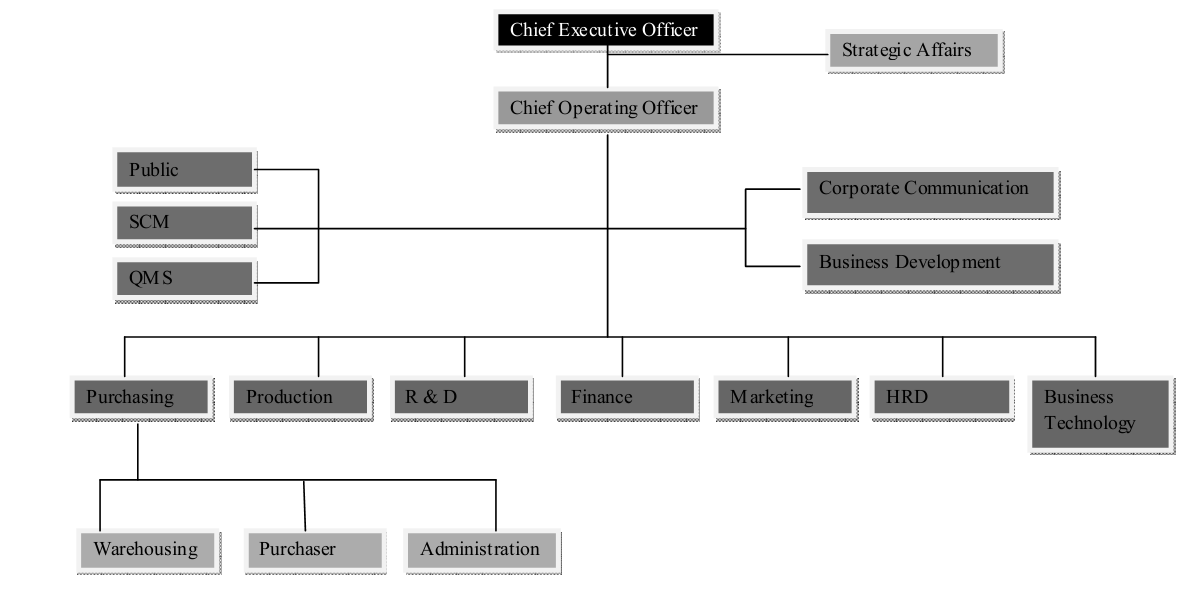 My College�s Life Peran System Analyst di perusahaan