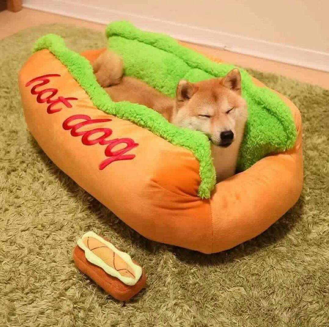 Cute dogs - part 148, cute dog photo, funny dog pictures