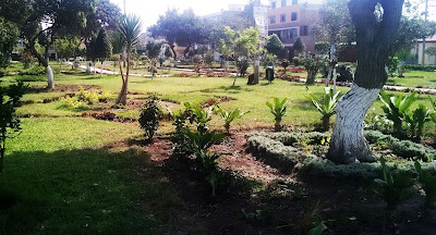 alrededores venta de departamentos en Breña