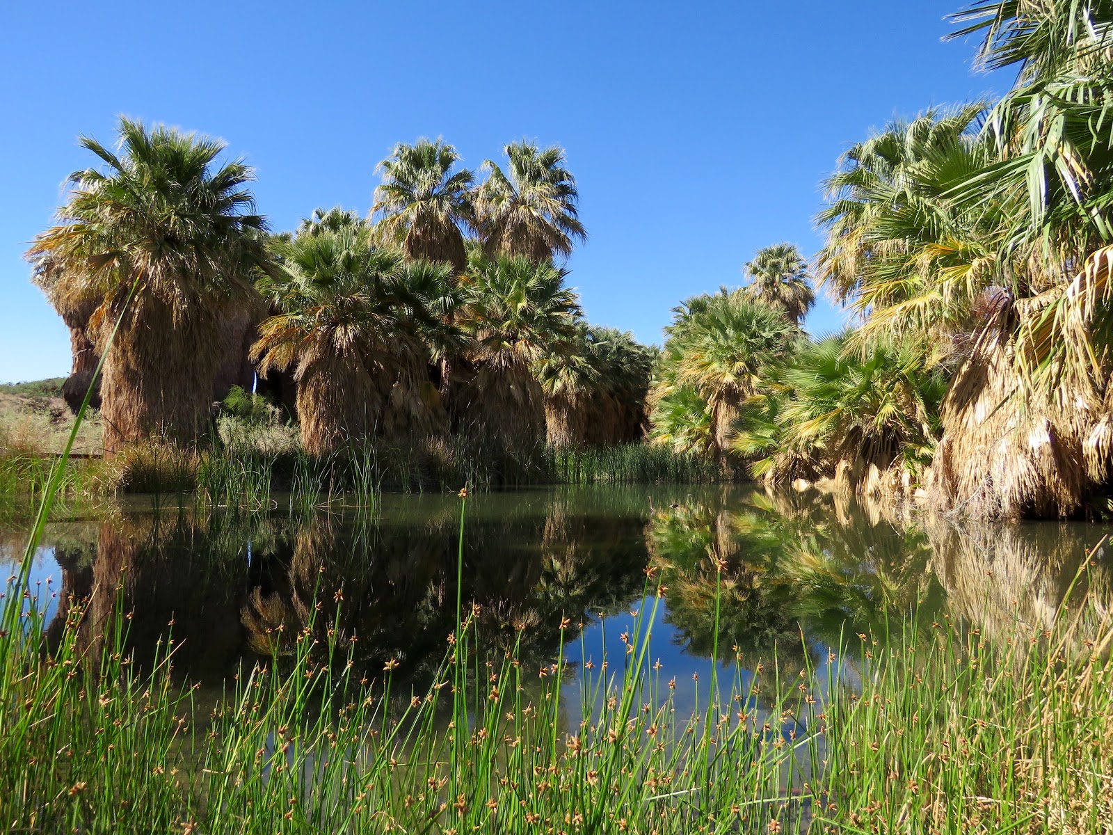 Winds of Destiny RVLife Thousand Palms Oasis, 4/17/2016