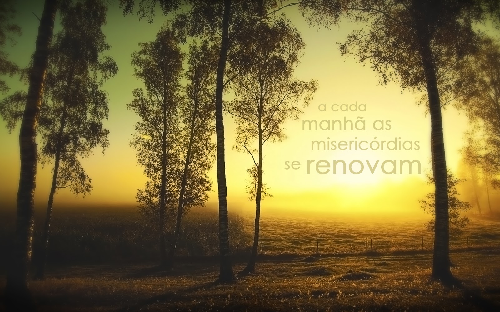 A cada manhã as misericórdias se renovam. | Eis-me Aqui!!!