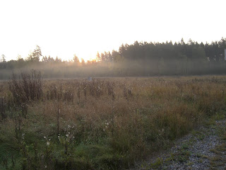 CIMG2547 - Vacker, dimmig höstmorgon