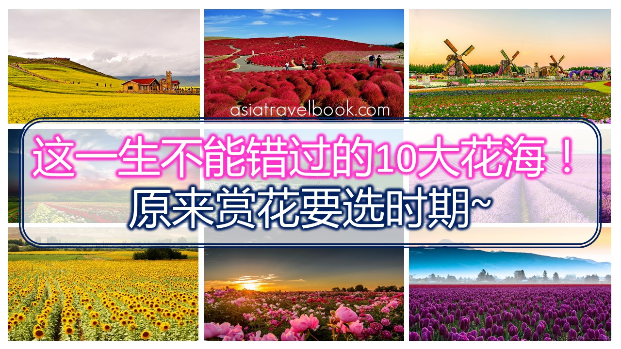 Asia Travel Book 你这一生不能错过的10大花海 原来赏花要选时期