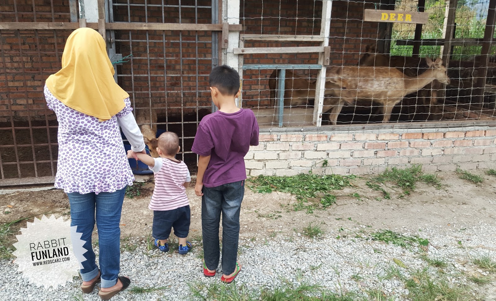 DAUS REDSCARZ: Rabbit Fun Land Broga berpindah ke Lenggeng, Negeri Sembilan