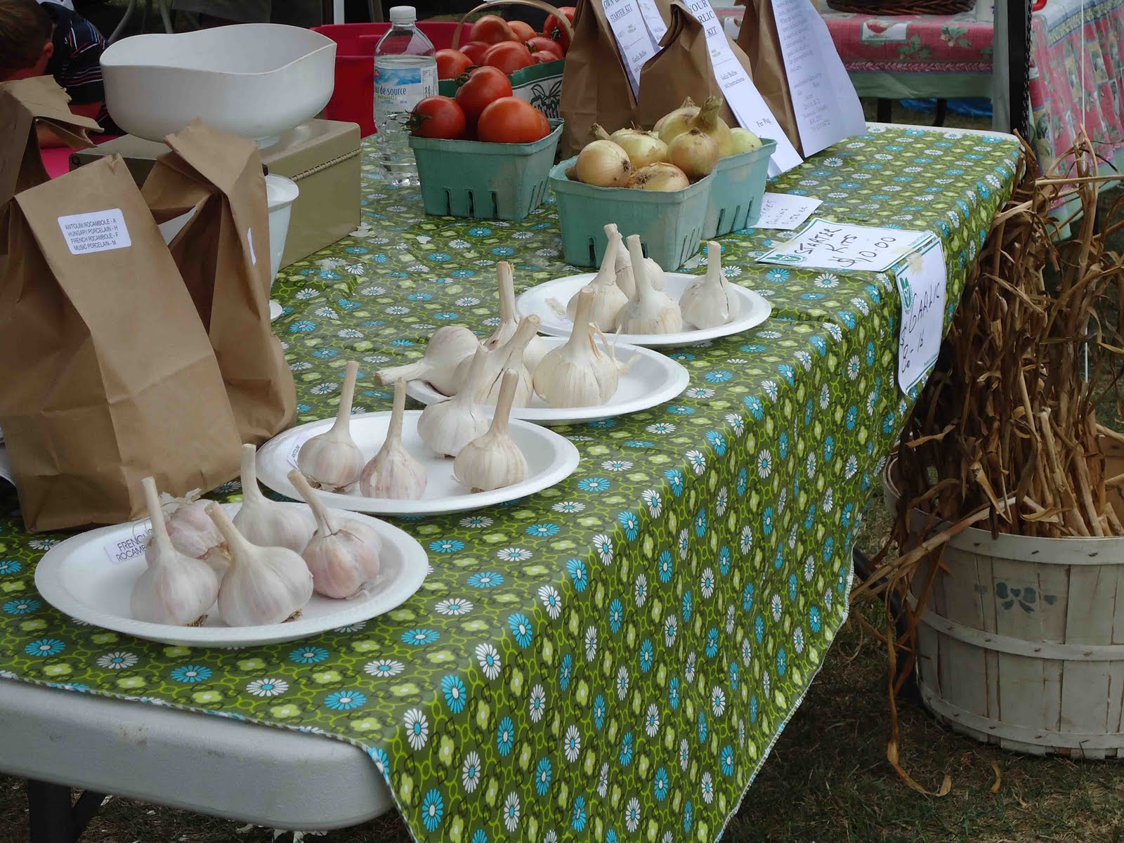 Small Purse, Big Garden The Verona Garlic Festival