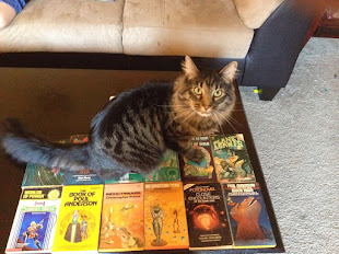 Artax The Book Cat
