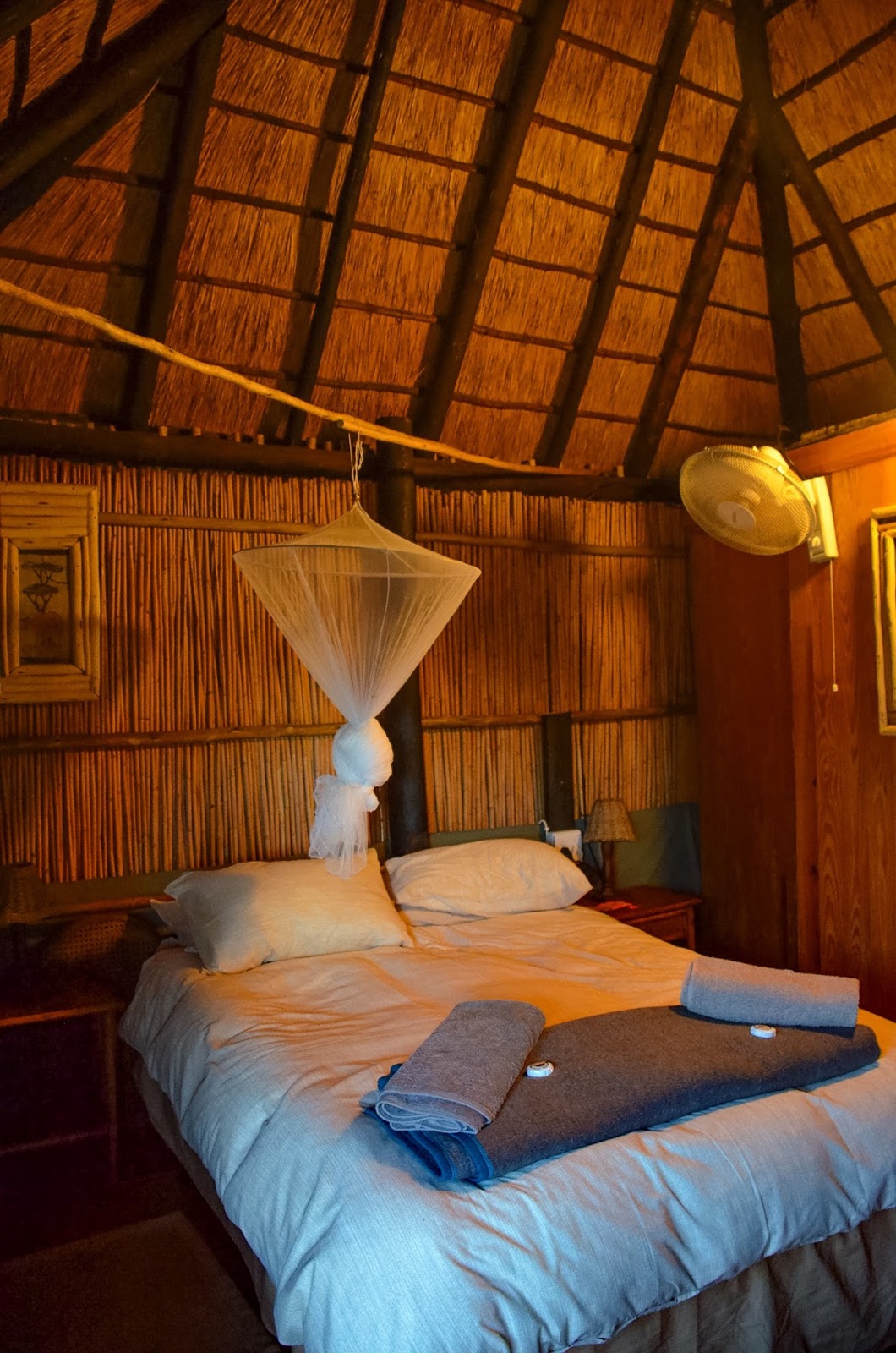 marcs treehouse camp