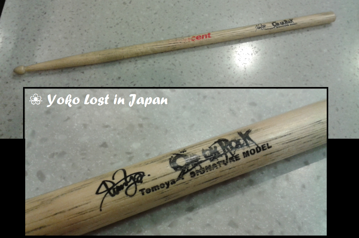Lost in Japan ☆ [Konzert] ONE OK ROCK in München (06.12.2014)