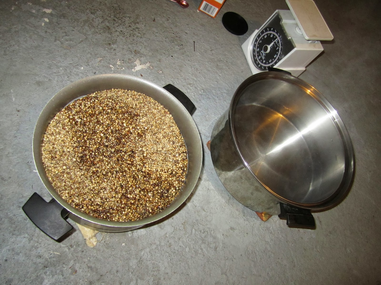 Carp Fishing Lifestyle How to properly prepare hemp seed for carp