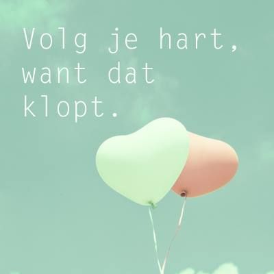 Flemenkçe Öğreniyorum