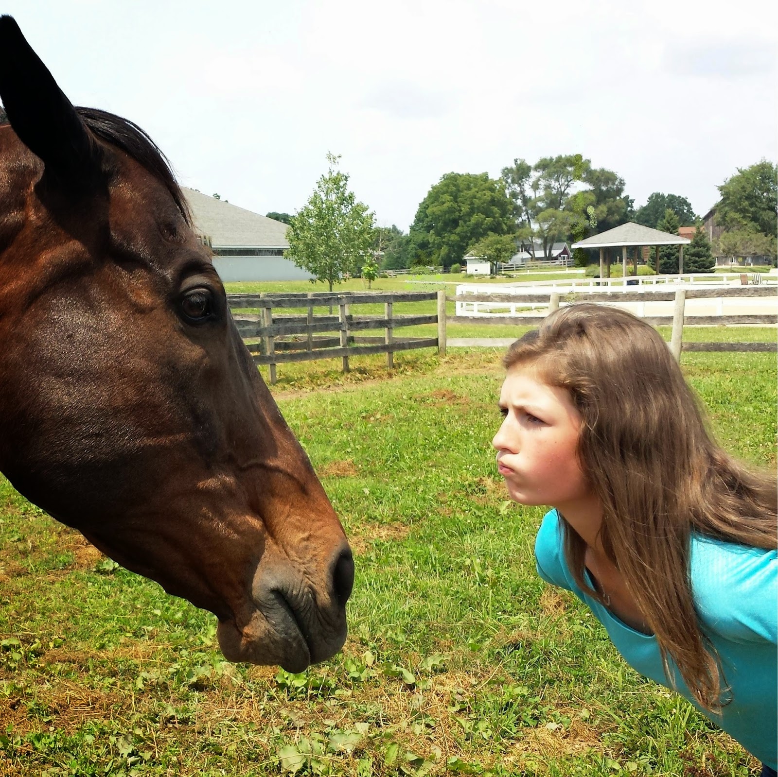 ALPHA Equestrian A KIND TALK ABOUT BEING MEAN TO HORSE Why Being TOO