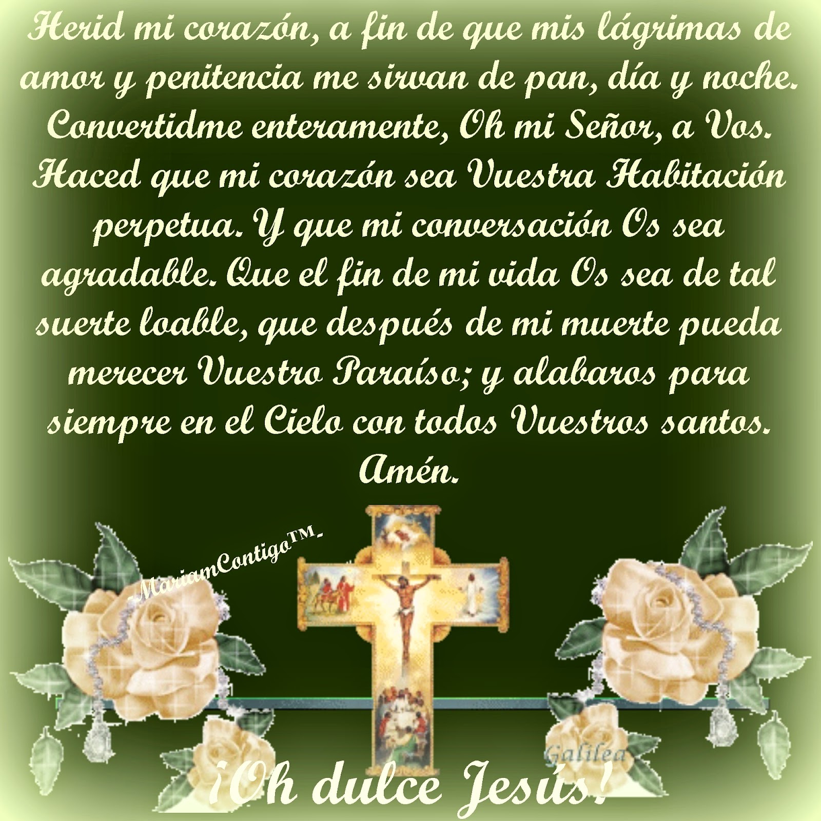 MARIA REINA Y SEÑORA POR SIEMPRE: ORACIÓN PARA HOY 081014