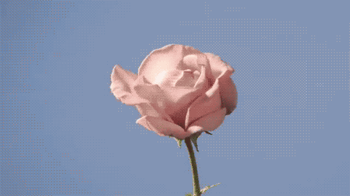 tumblr_lm4gsxx5Sr1qzf5e1o1_500.gif