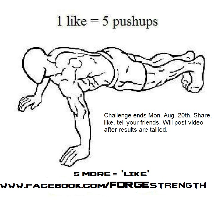 Coach Praters Blog - Rants, Rambles, and Training: Pushup Challenge