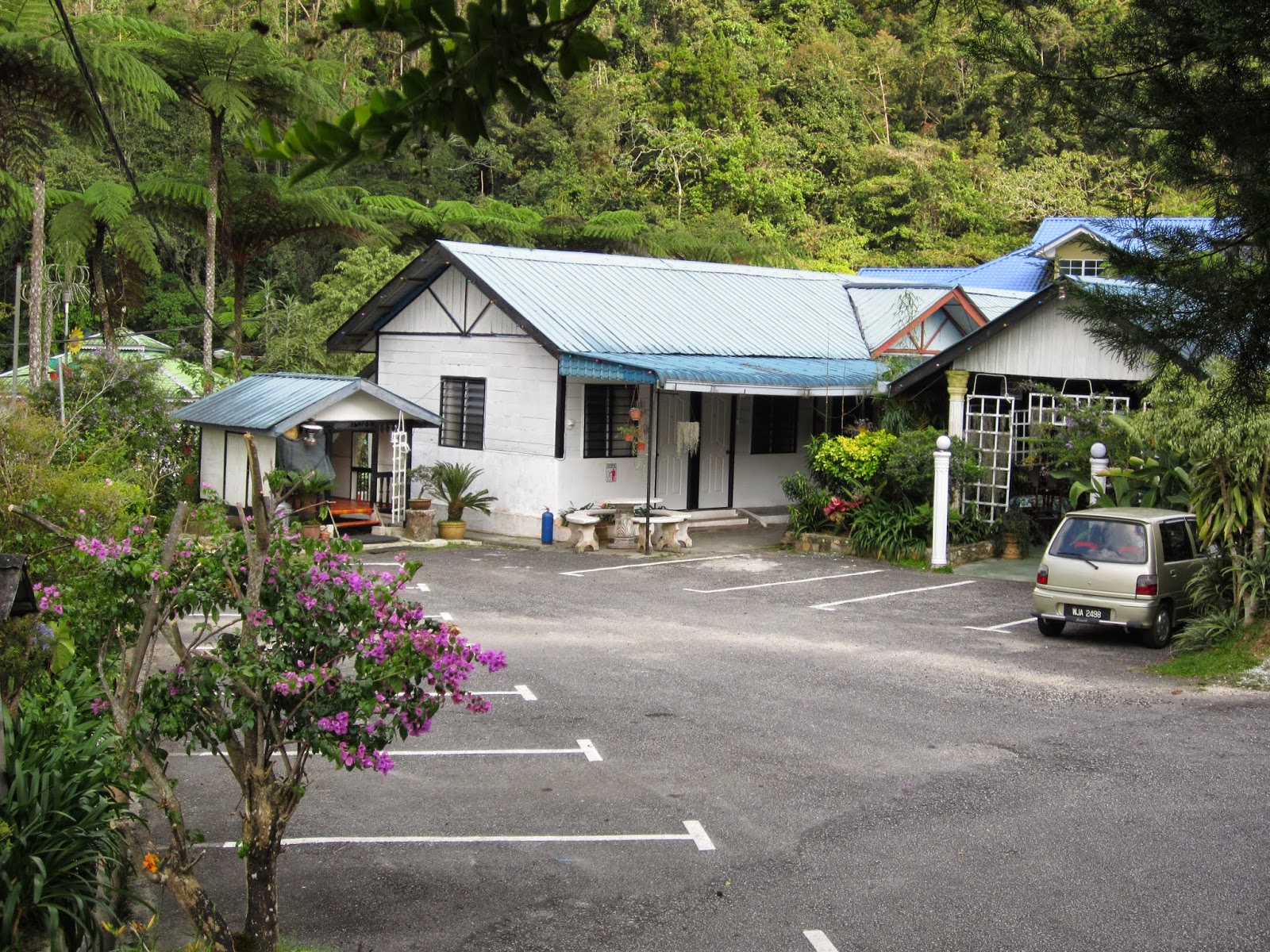 Marina Chalet & HomeStay, Cameron Highlands: Marina's Photo ..Collection 1