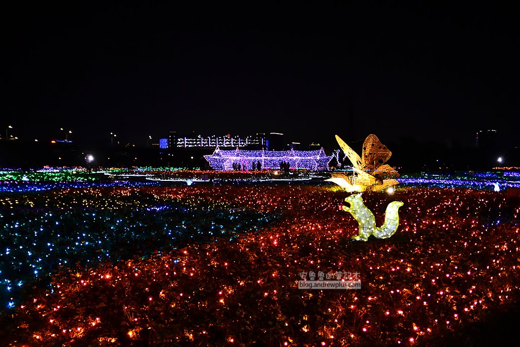 蝴蝶公園地景花海,2020新北河濱蝶戀季,板橋蝴蝶公園怎麼去,蝴蝶公園公車,蝴蝶公園停車場