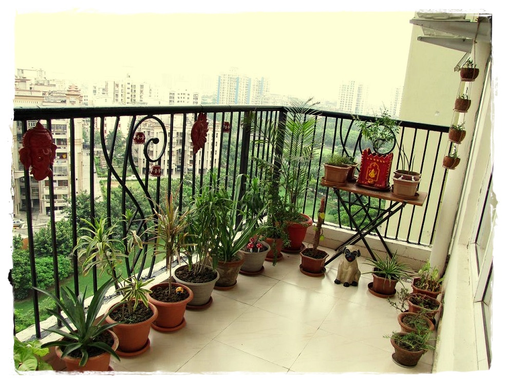 Balcony Garden Design Ideas India PDF
