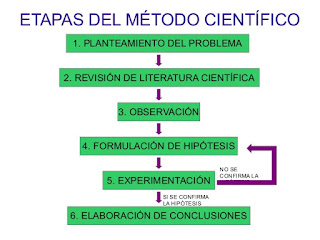 Metodo Cientifico Modelo Sintetizado De Las Etapas Del Metodo Cientifico