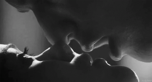 se02.gif