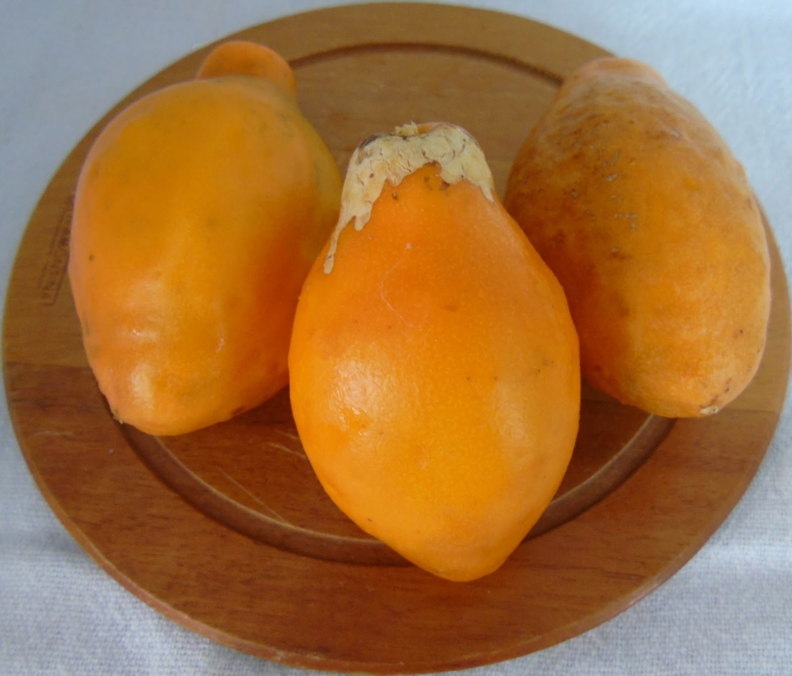 Maracuja Doce Passiflora Alata Curtis A Planta Da Vez