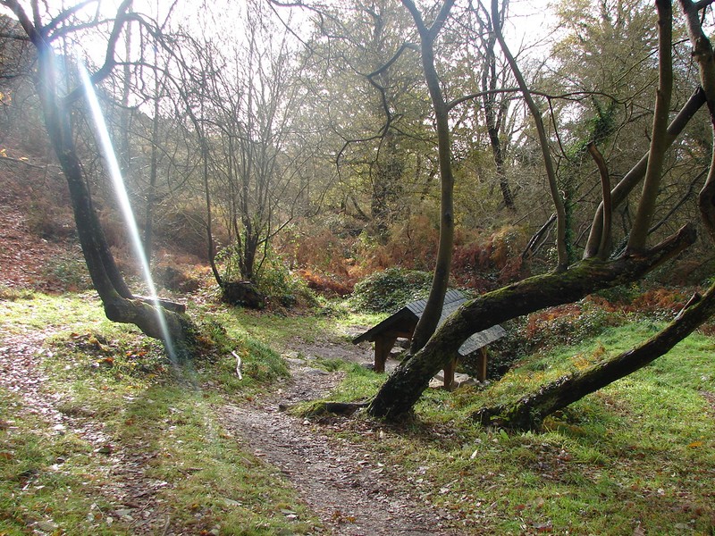 L'ATTENDUE Lieux sacrés Fontaine de SainteApolline.