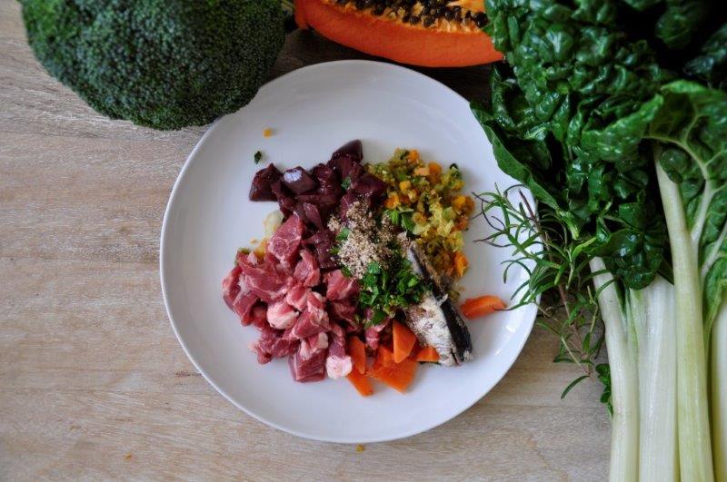 Good Pet Food Kitchen Raw Meals Review Australian Dog Lover