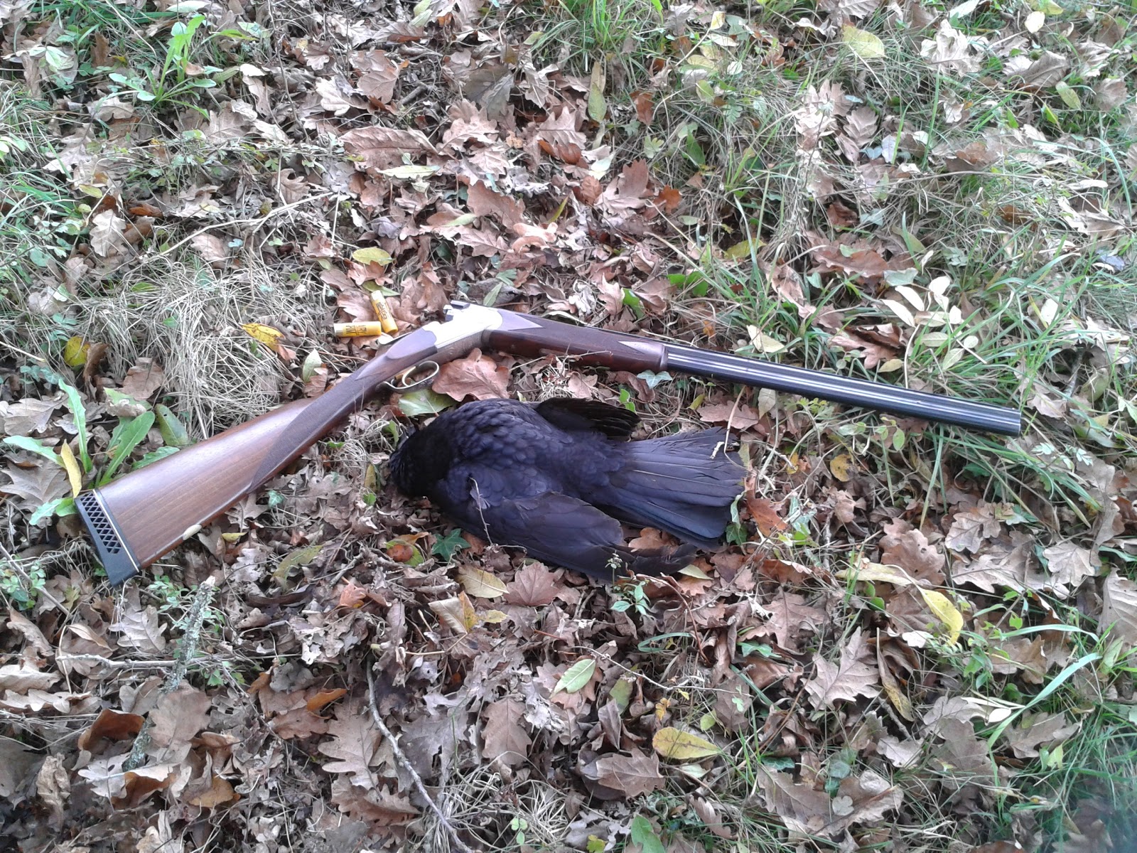 CHASSE PECHE NATURE ET BANDE DE COPAINS: cartouche calibre 20;;;;; qui