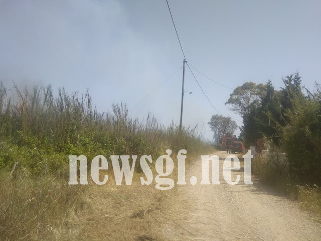 Πυρκαγιά στη Μούτελη Ηλείας
